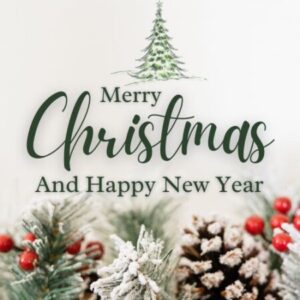 Group logo of Buy Subutex Online Sale Festive Medication Deals Today