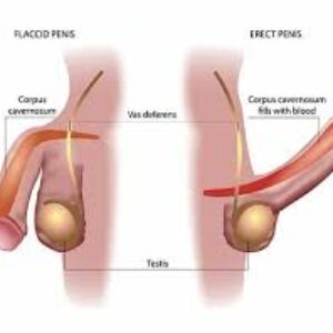 Group logo of Viagra Kopen: Handige Verlichting voor Erectiestoornissen Altijd van👉 zolpidempillenshop